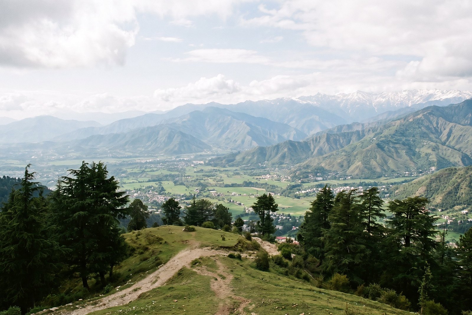 Musafir Cafe — Hill-station coffee shop & bakery · walk-in, view-led